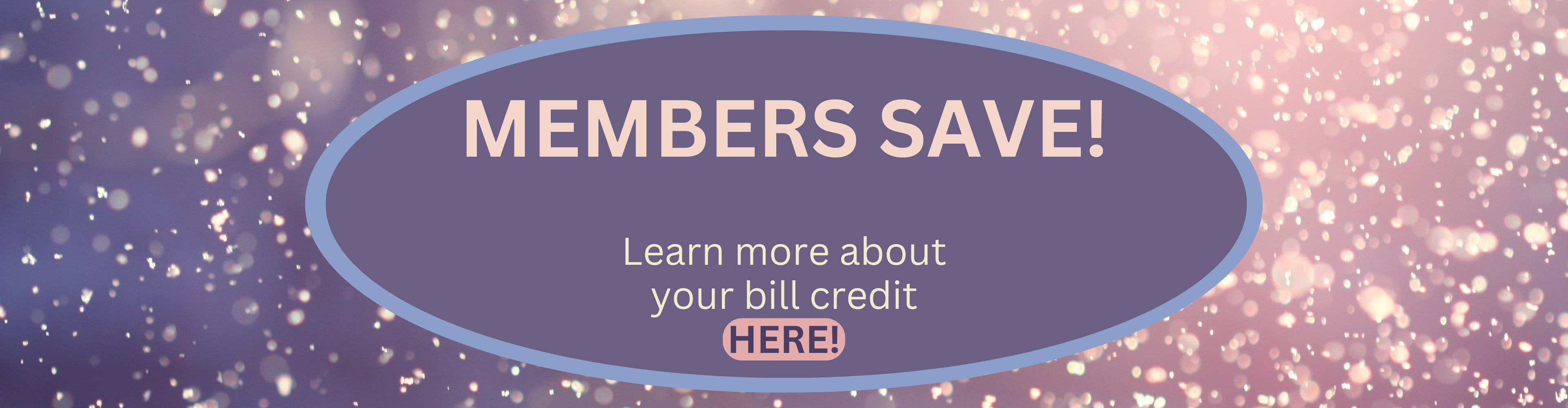 Members Save Rate Holiday Slider