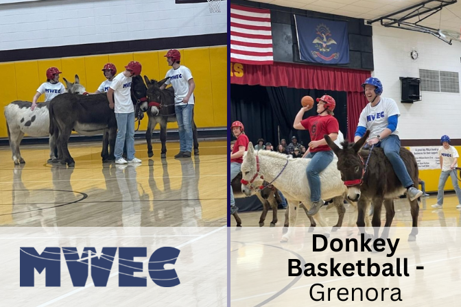 Grenora Donkey BB