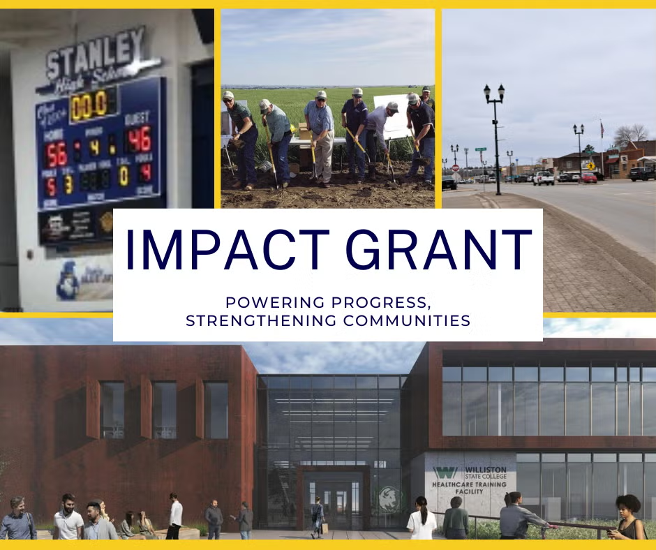 impact grant