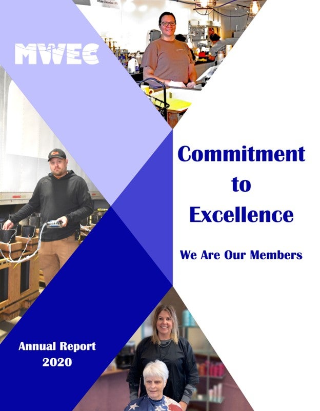 2020 Annual Report cover