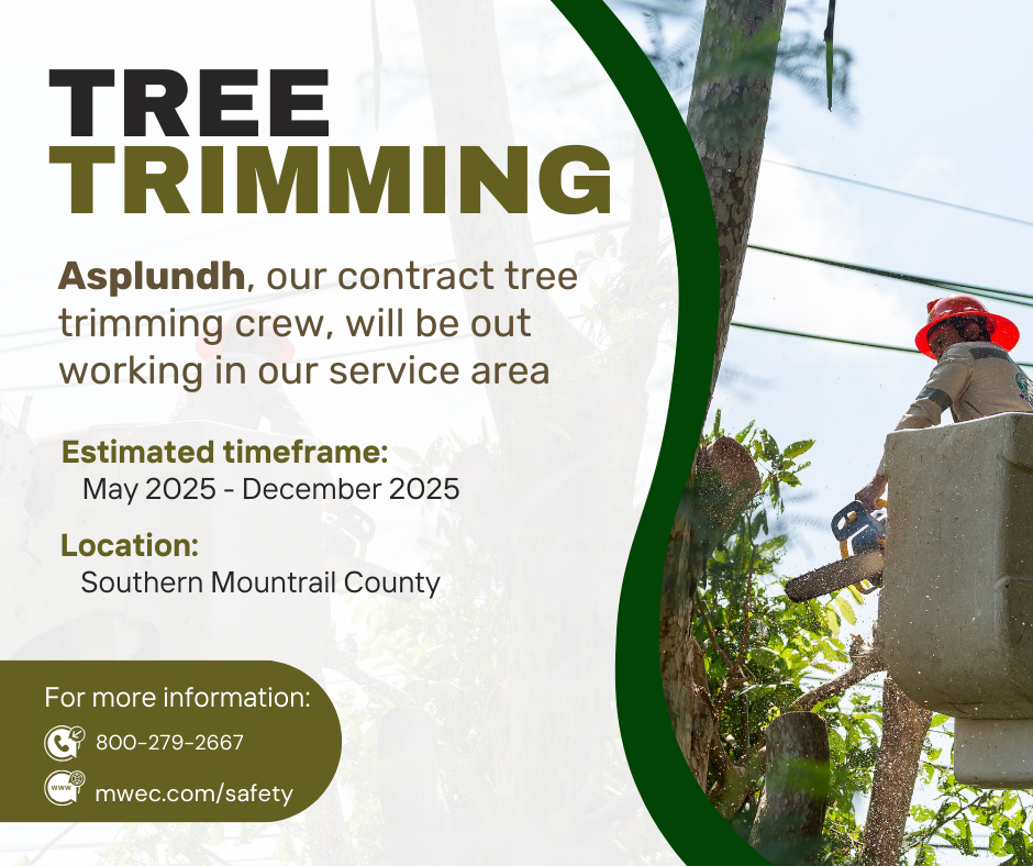 Tree Trimming 2025