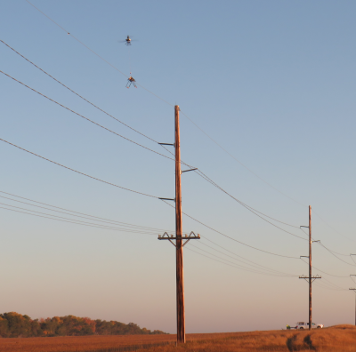 Fulcrum Bird Diverters